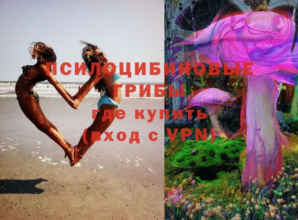 spice Баксан