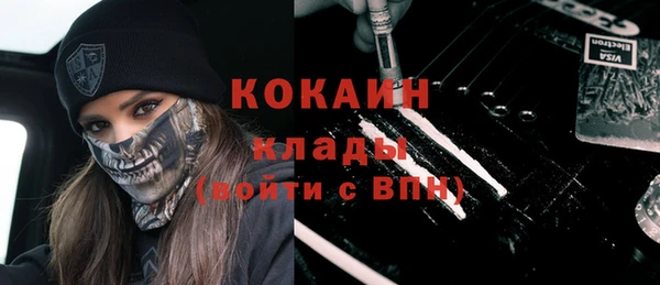 дживик Семилуки