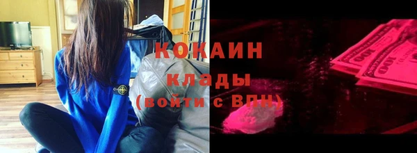 шишки Балахна