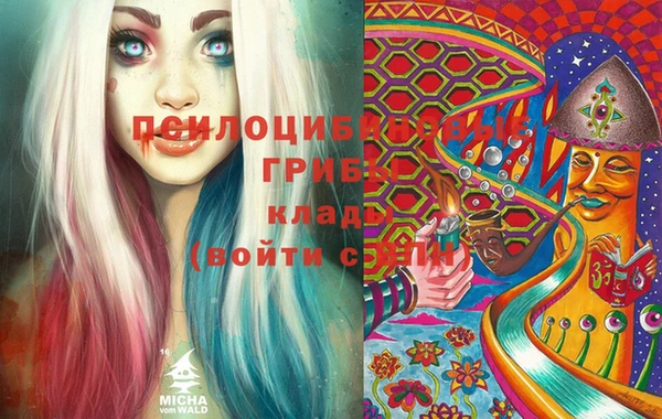 spice Баксан