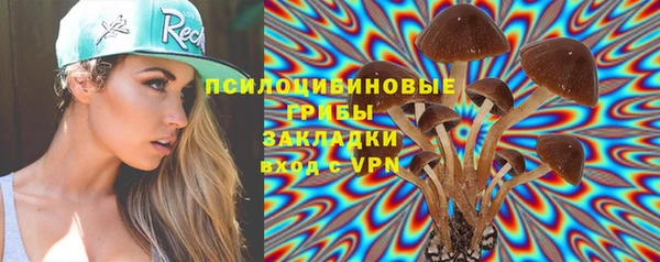 шишки Балахна