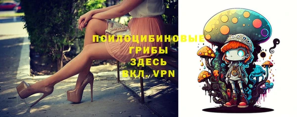 шишки Балахна