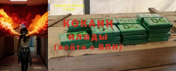 шишки Балахна