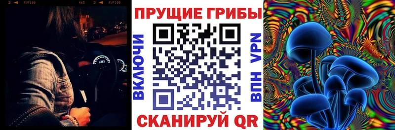 где найти   Белозерск  blacksprut маркетплейс  Псилоцибиновые грибы Psilocybe 